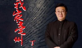 在线观看丁冬,在线观看，解锁精彩瞬间